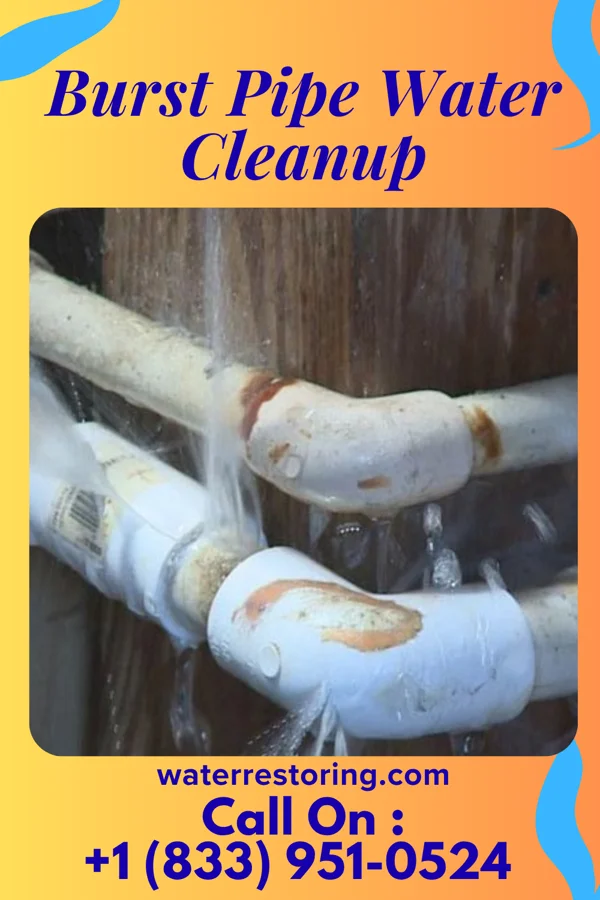 Burst Pipe Water Cleanup in Waleska, GA
